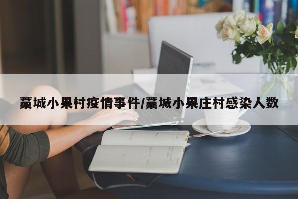 藁城小果村疫情事件/藁城小果庄村感染人数