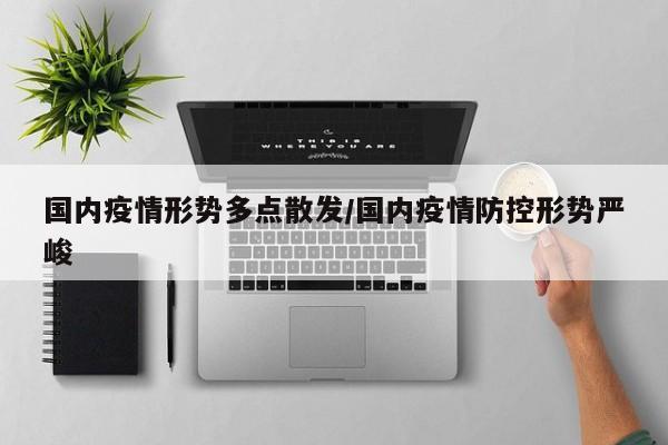 国内疫情形势多点散发/国内疫情防控形势严峻