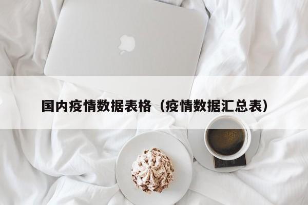 国内疫情数据表格（疫情数据汇总表）
