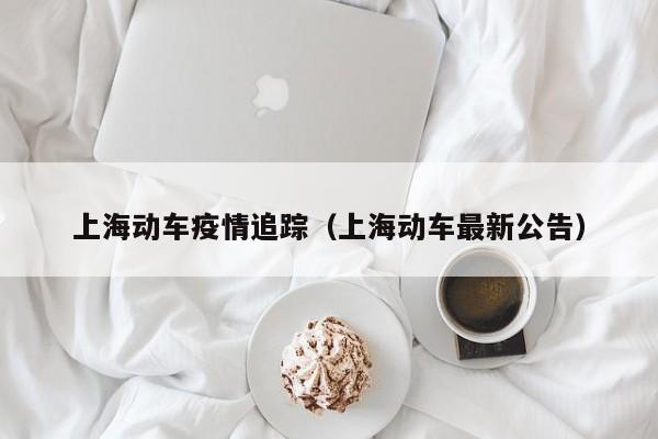上海动车疫情追踪（上海动车最新公告）