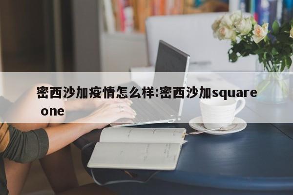 密西沙加疫情怎么样:密西沙加square one
