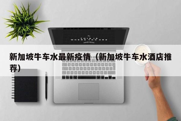 新加坡牛车水最新疫情（新加坡牛车水酒店推荐）