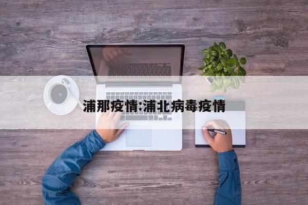 浦那疫情:浦北病毒疫情