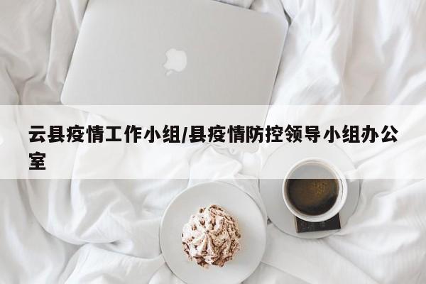 云县疫情工作小组/县疫情防控领导小组办公室