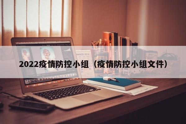 2022疫情防控小组（疫情防控小组文件）